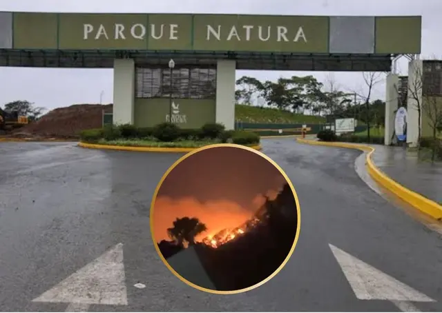 Esto sabemos sobre incendio en parque Natura de Xalapa