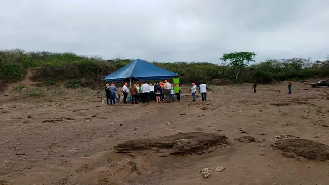 Hallan 8 cadáveres en 5 fosas clandestinas entre Veracruz y Oaxaca