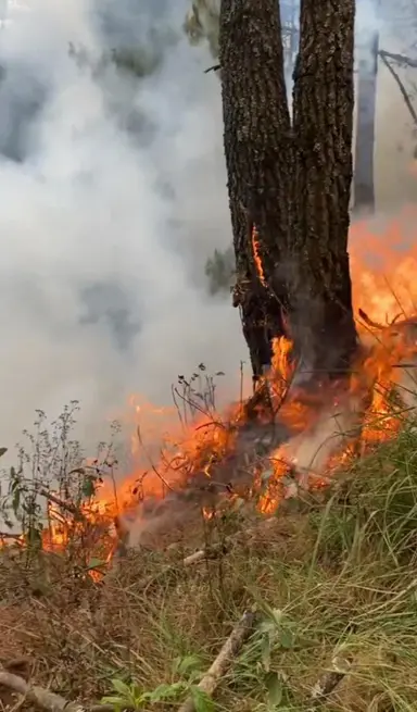 Se descontrola incendio en Parque Nacional Cofre de Perote