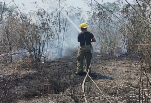 Evacuan escuelas por incendio de cañal y pastizal en Fortín, Veracruz