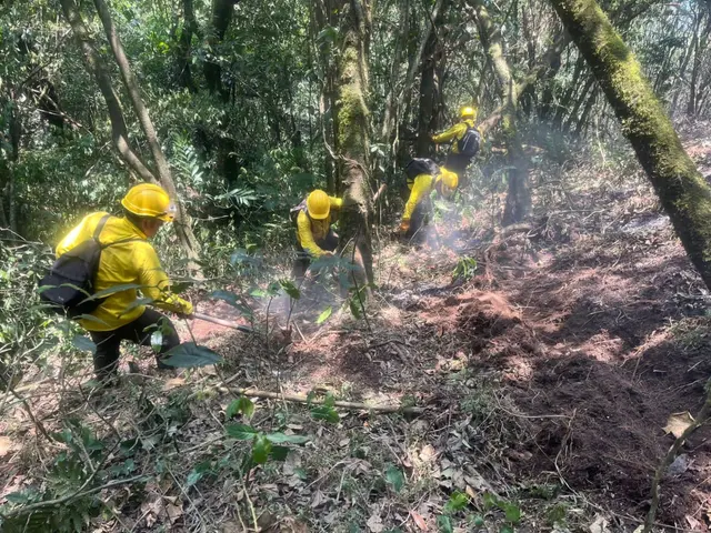 Incendios acaban con más de 70 hectáreas en cerros de Río Blanco