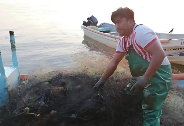 Manchas de chapo paran la pesca en Veracruz y Boca del Río