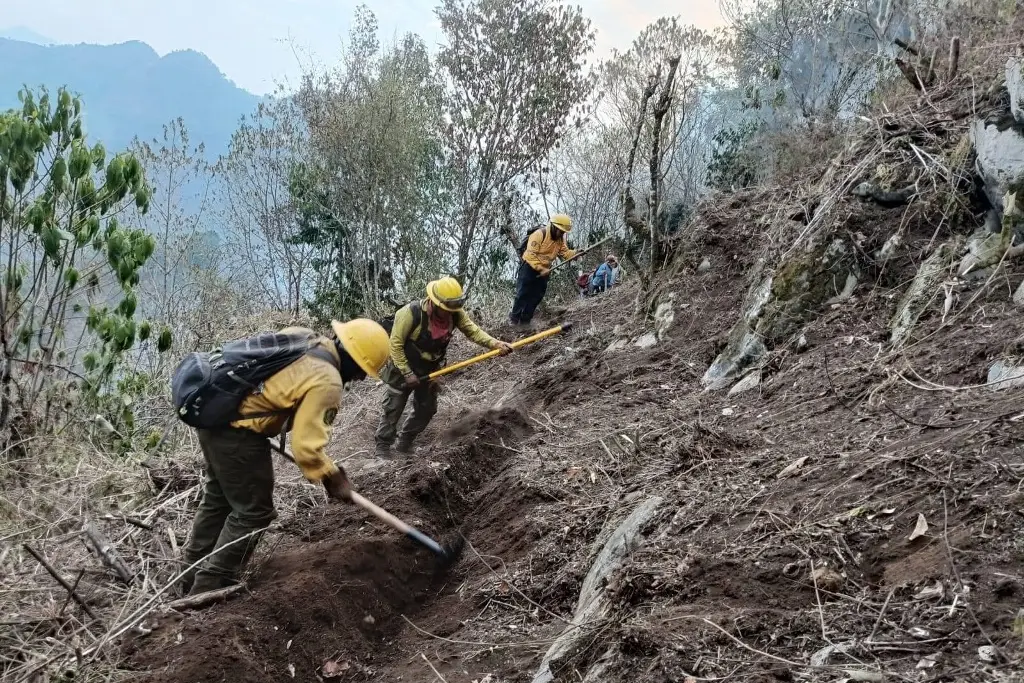 Hay 24 incendios forestales activos en Veracruz, reporta PC estatal