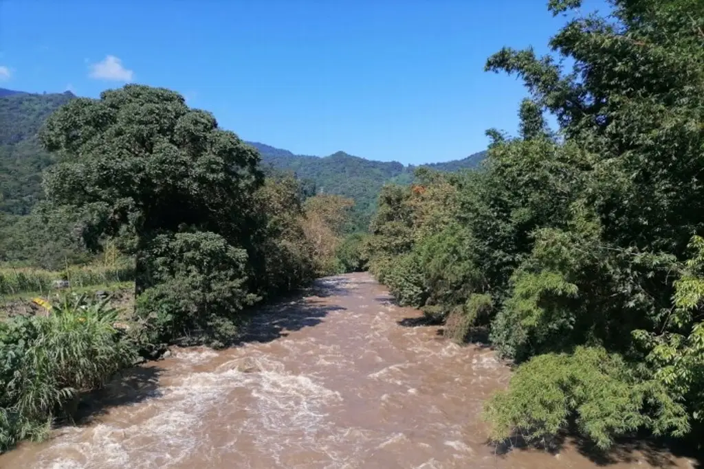 ¿Hay riesgo de desborde en ríos de Veracruz?, esto dice Conagua