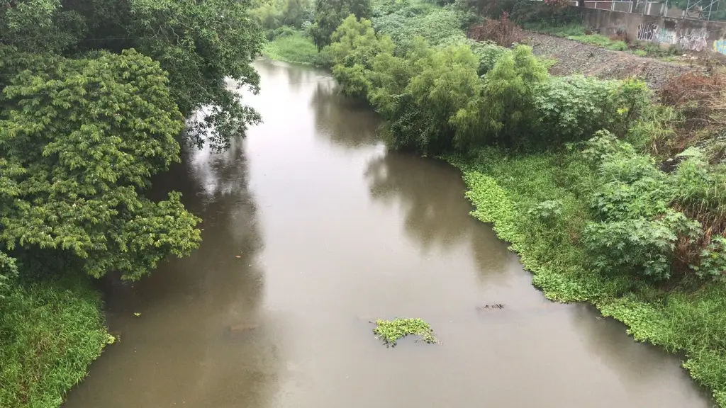 Ríos Jamapa y Cotaxtla, en Medellín y Boca del Río, con niveles máximos: Conagua