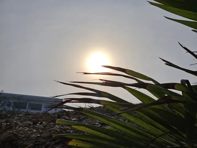 Clima en Veracruz: este jueves continuará la ola de calor