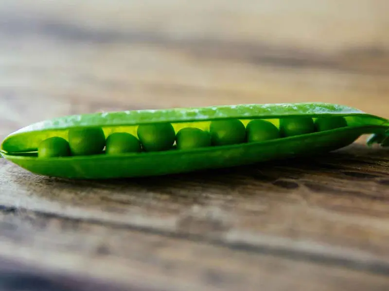 Hombre pensó que tenía cáncer de pulmón, en realidad le estaba creciendo una planta