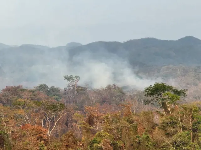 Reportan tres incendios activos en Uxpanapa, Veracruz