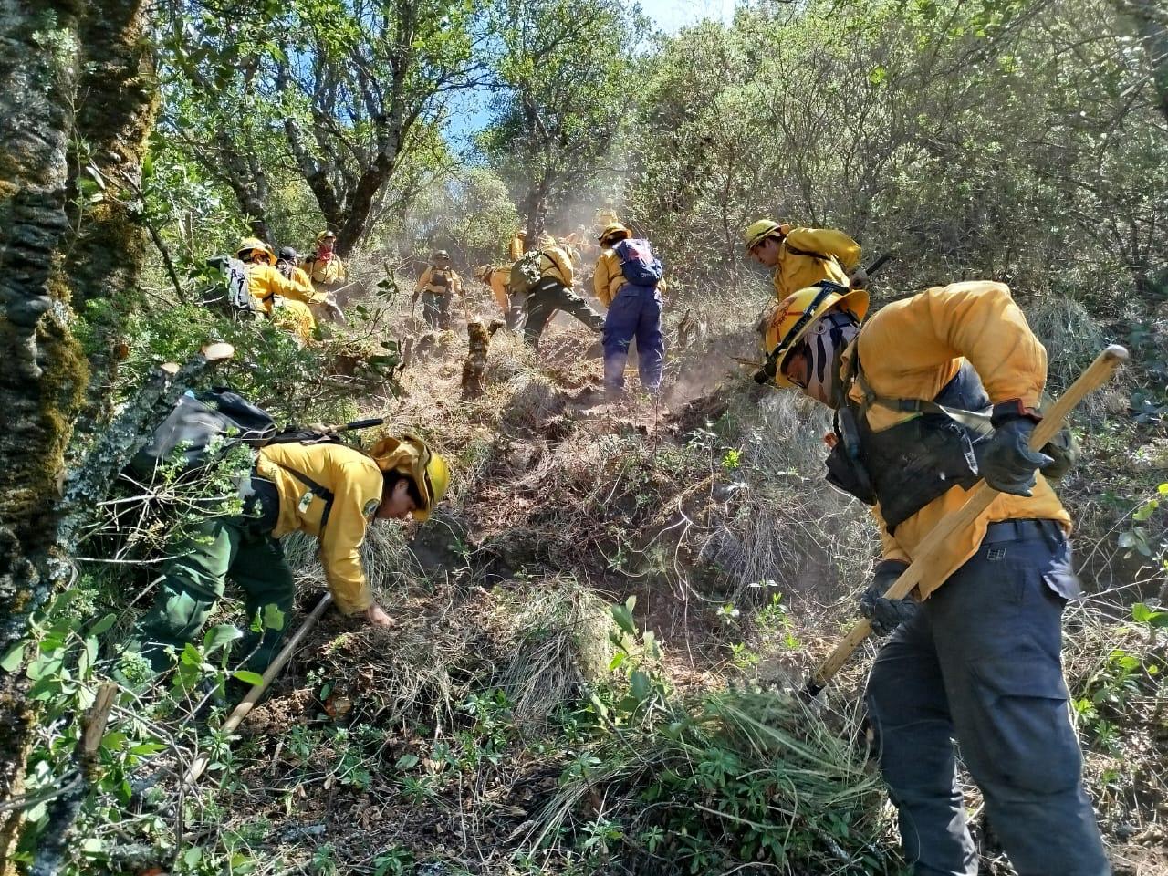 Aumentan incendios forestales activos en Veracruz