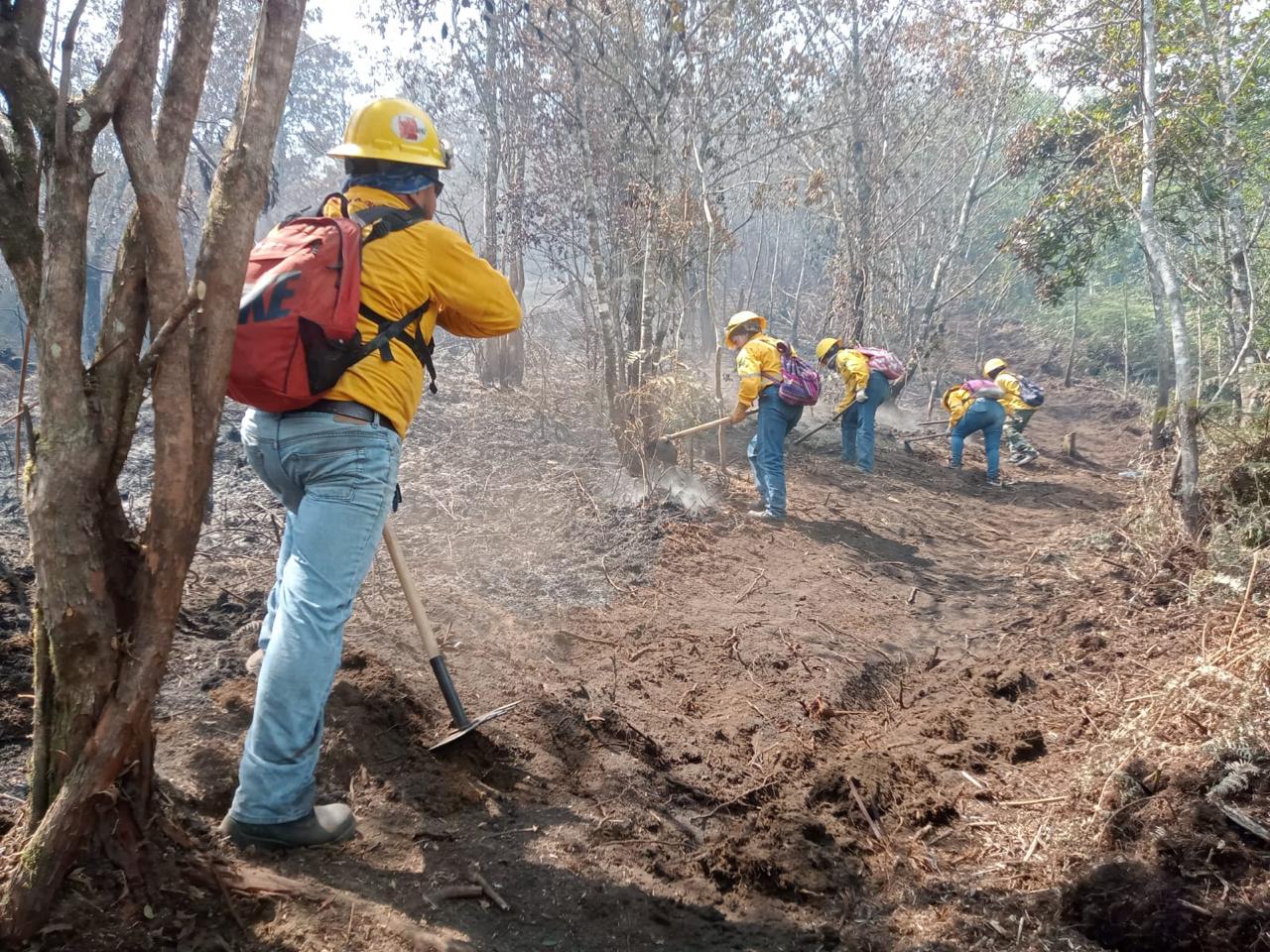 Fuerzas de tarea atienden 17 incendios forestales en Veracruz