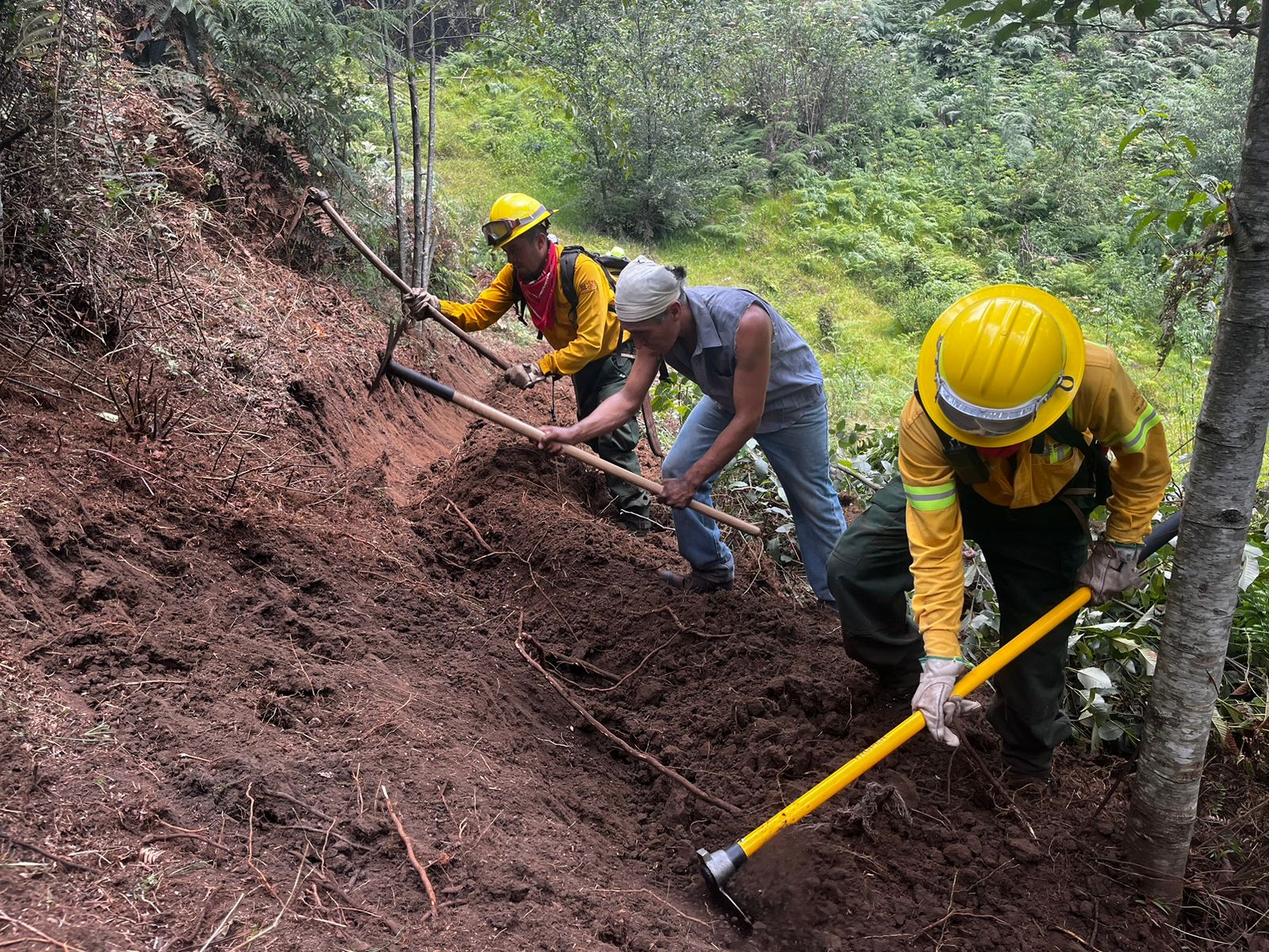 Pese a las lluvias, continúa un incendio forestal activo en Veracruz