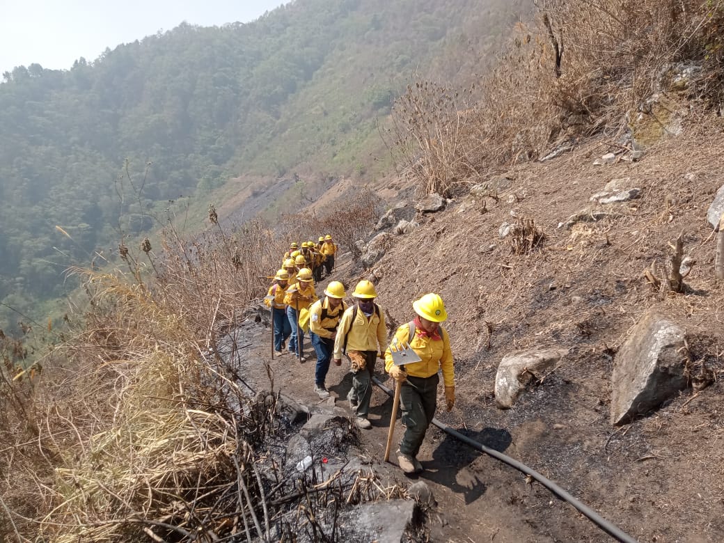 Reporta Conafor 8 incendios forestales activos en Veracruz