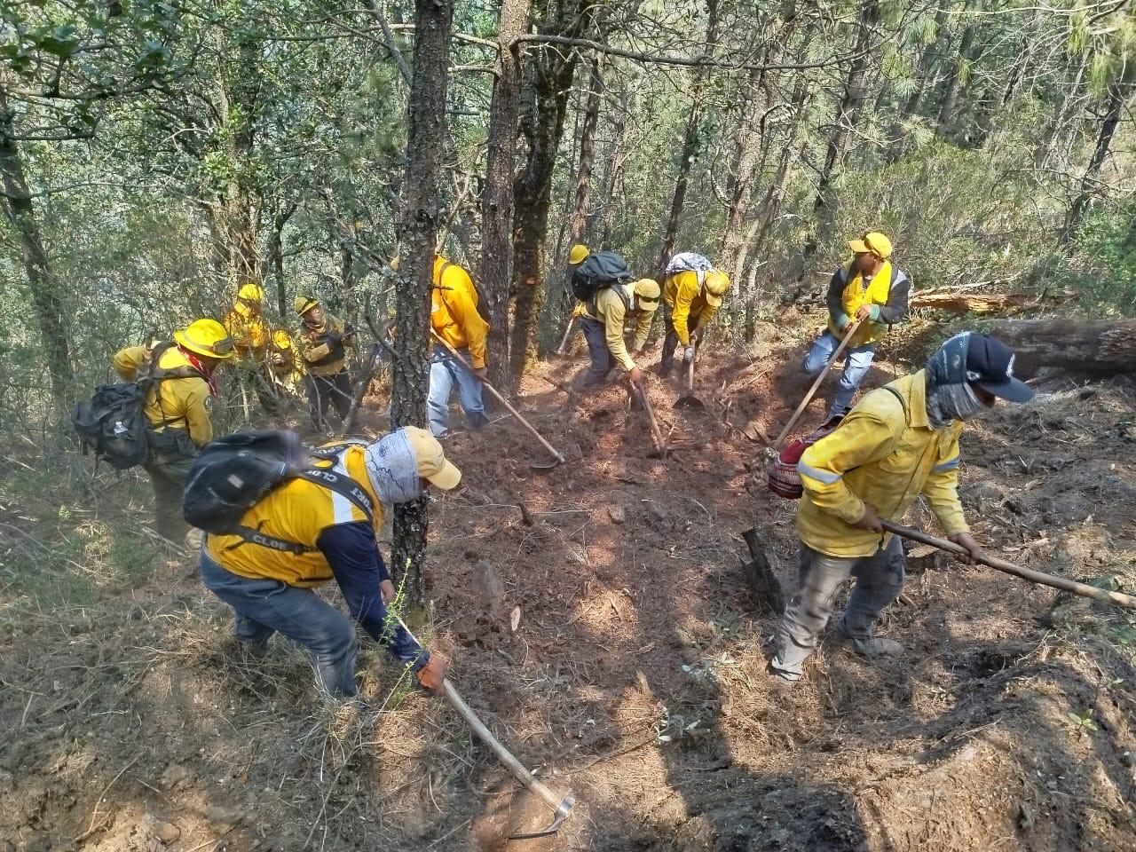 Reportan 9 incendios forestales activos en Veracruz