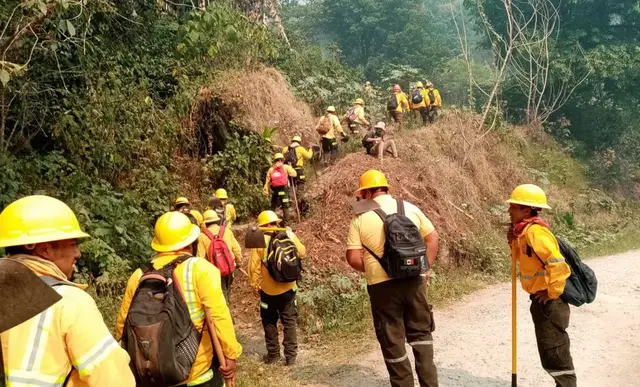 Desmienten convocatoria para sofocar incendios en Veracruz