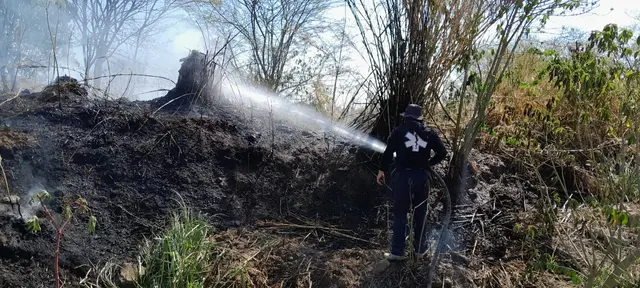 Fiscalía investiga a responsables de incendios forestales en Veracruz