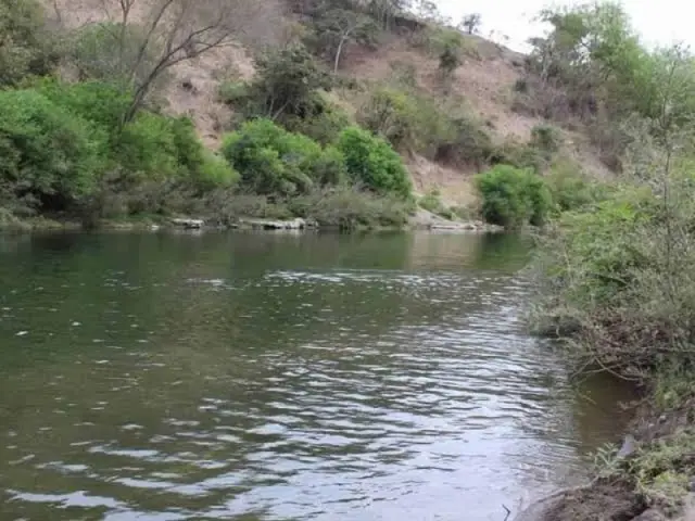 Monitorean ríos Jamapa y Cotaxtla; podrían desbordarse