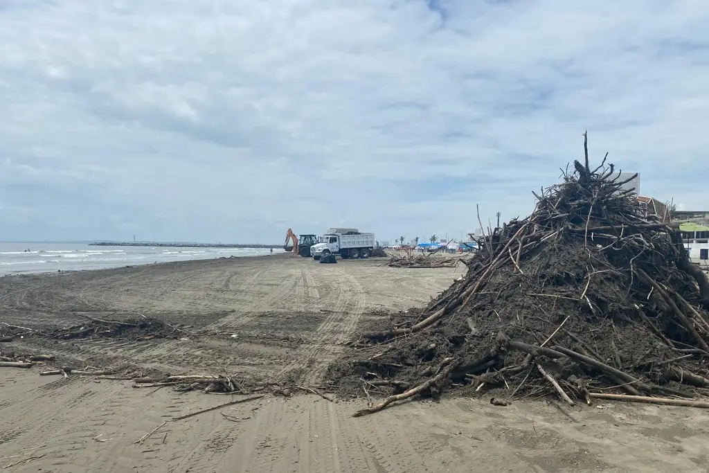 Gran cantidad de palizada llega a playas de Boca del Río; realizan limpieza