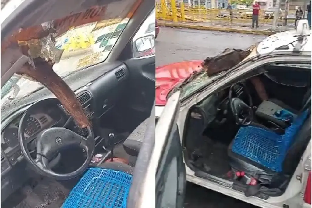 Tronco atraviesa parabrisas de taxista en Veracruz