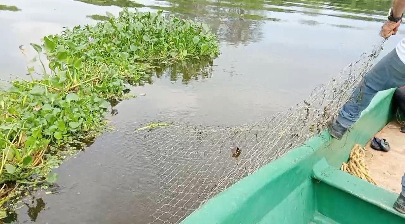 Pescadores denuncian que no se respeta la veda del robalo en el río Coatzacoalcos