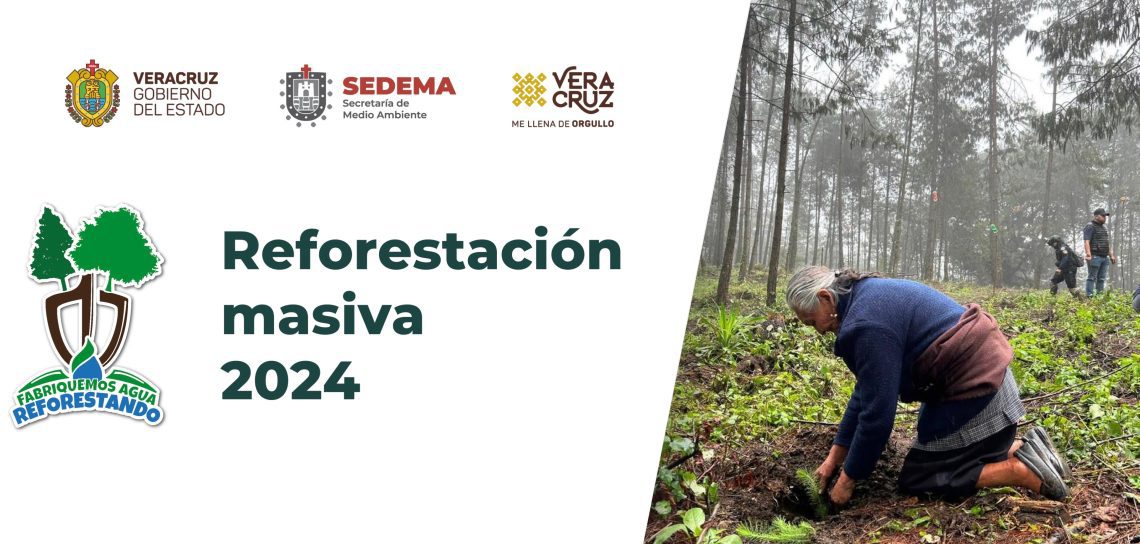 Se suman 34 municipios a reforestación masiva en Veracruz