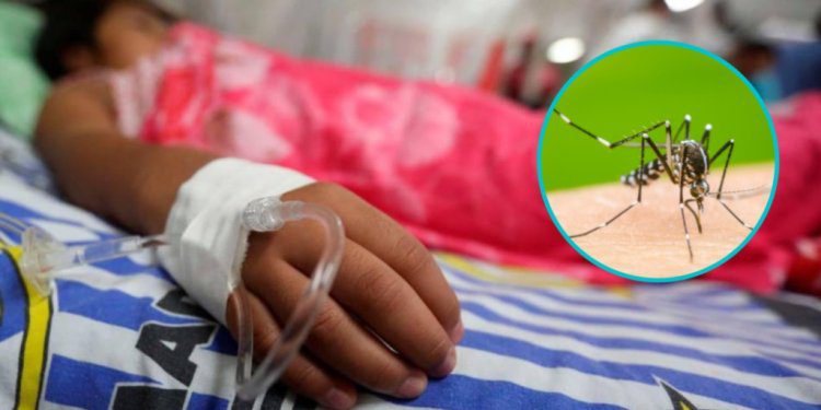 Veracruz registra 6 muertos y mil 936 casos de dengue