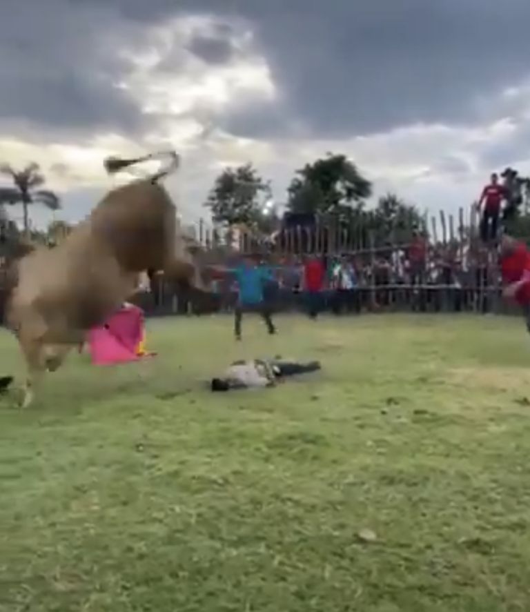 toro pisotea a jinete varias veces tras quitárselo de encima