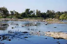 Petróleo contamina al río Cazones y deja sin agua a veracruzanos