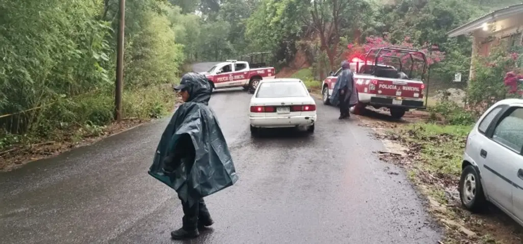 Niña muere al sacar la cabeza por la ventana del auto y ser golpeada por otro carro