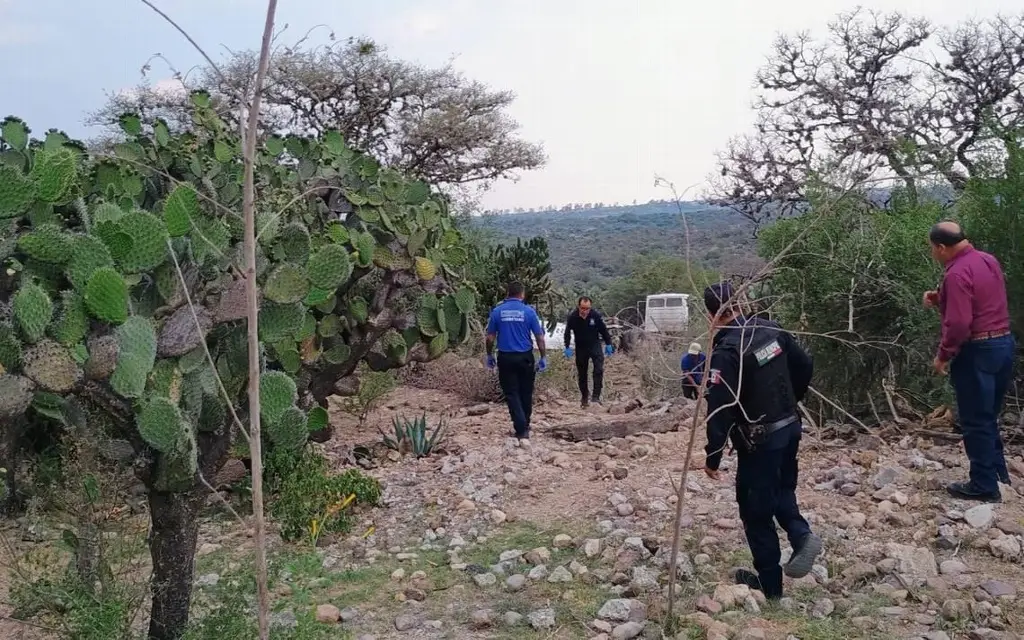 Muerte simultánea de 15 vacas desconcierta a ganaderos de Paso del Macho