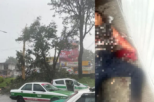 Caída de árbol deja dos lesionados en Xalapa