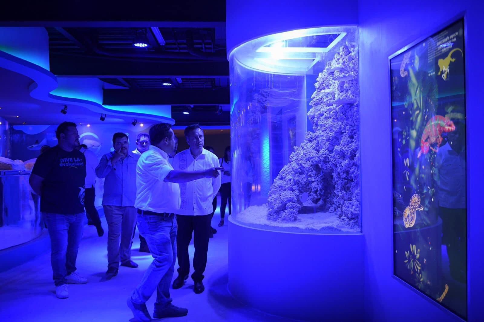 Remodelación de “Aquarium” de Veracruz concluirá en noviembre con nuevas atracciones