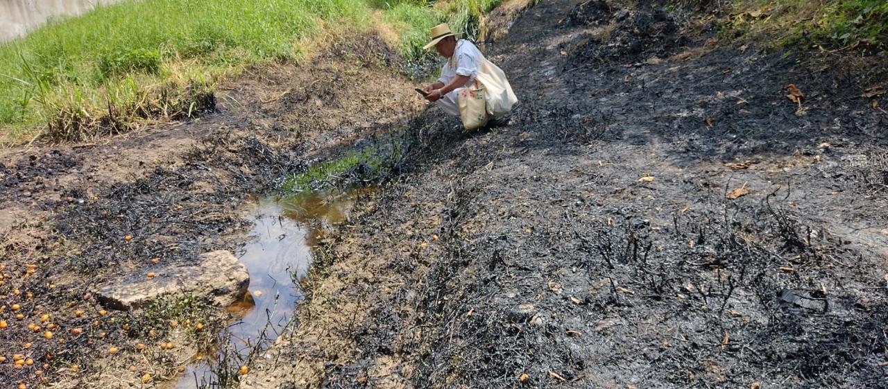 Muere 90% de la fauna por derrame de hidrocarburos en río de Papantla