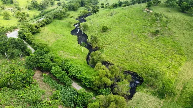 Derrame de hidrocarburo contamina arroyo en Papantla