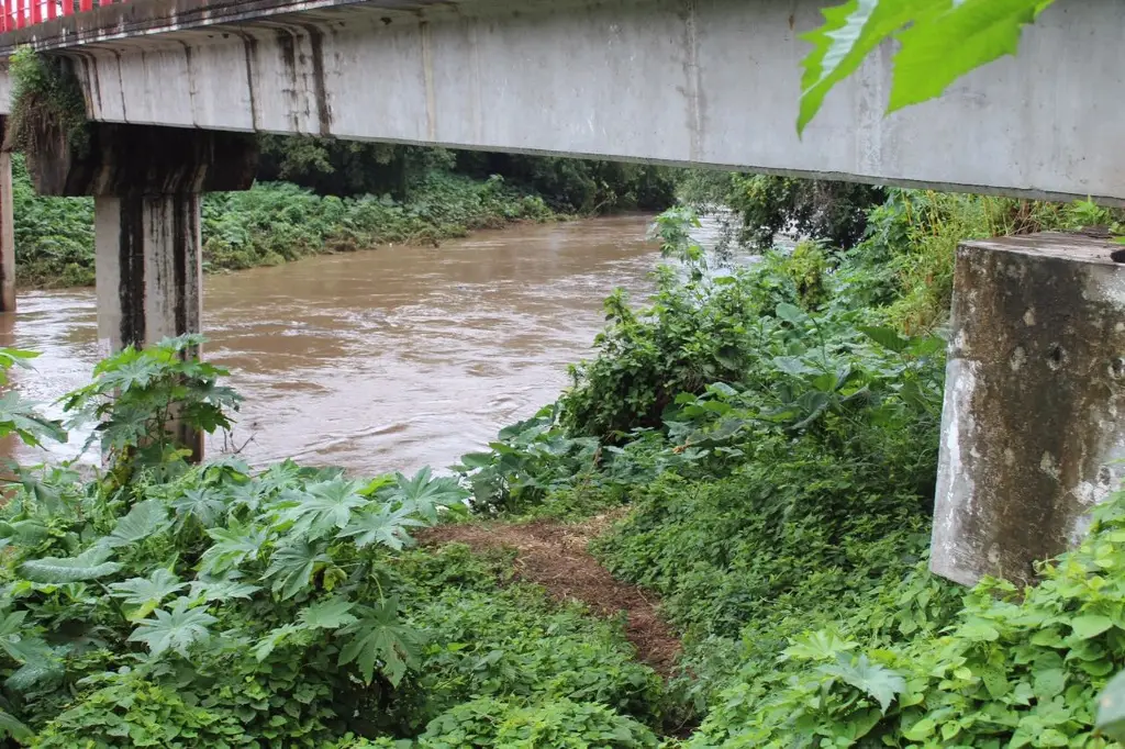 Nivel del río Jamapa va en aumento, reporta Conagua; estos 3 podrían desbordarse en próximas horas