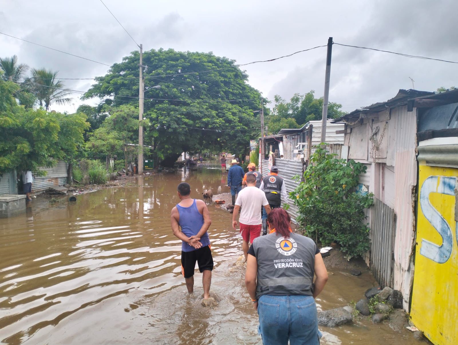 Entre tres y cuatro mil viviendas afectadas por lluvias en el sur de Veracruz: SPC