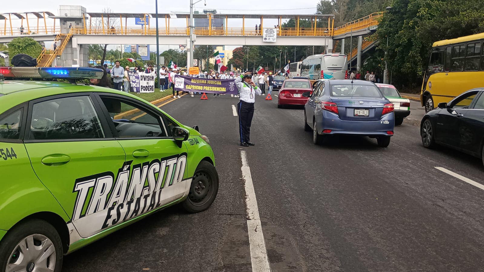 Plantea Rocío Nahle reestructuración en Tránsito y Transporte Público