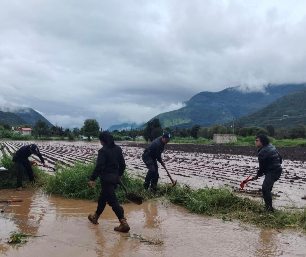 Sin afectaciones graves por lluvias en escuelas de Veracruz: SEV