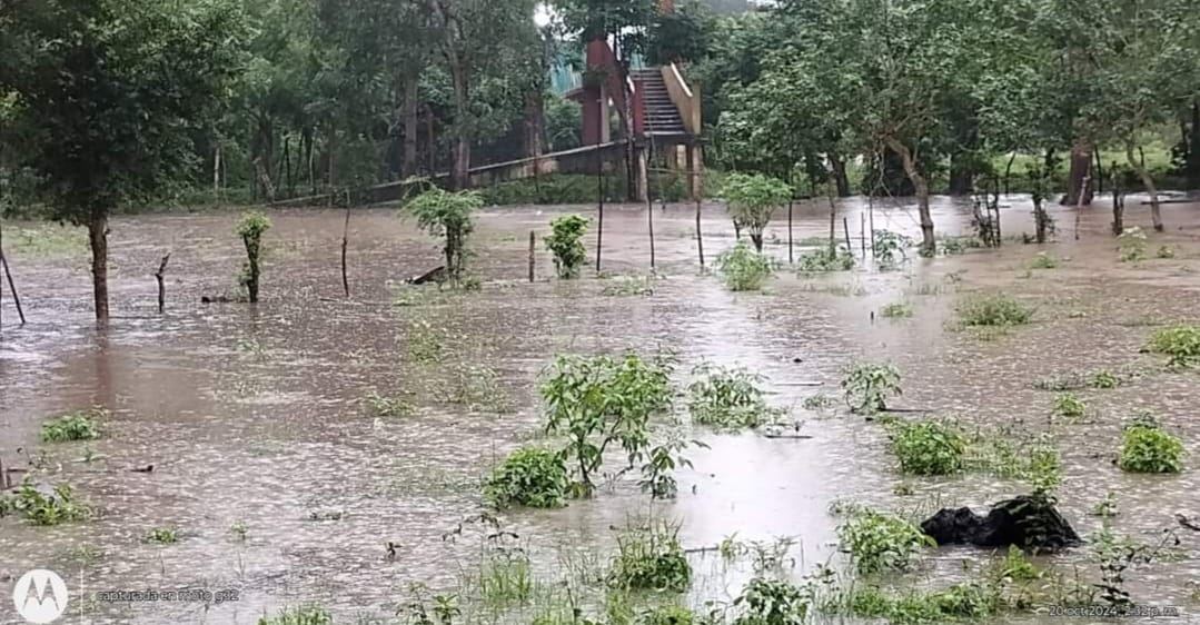 Mil familias en riesgo de inundación en Hueyapan