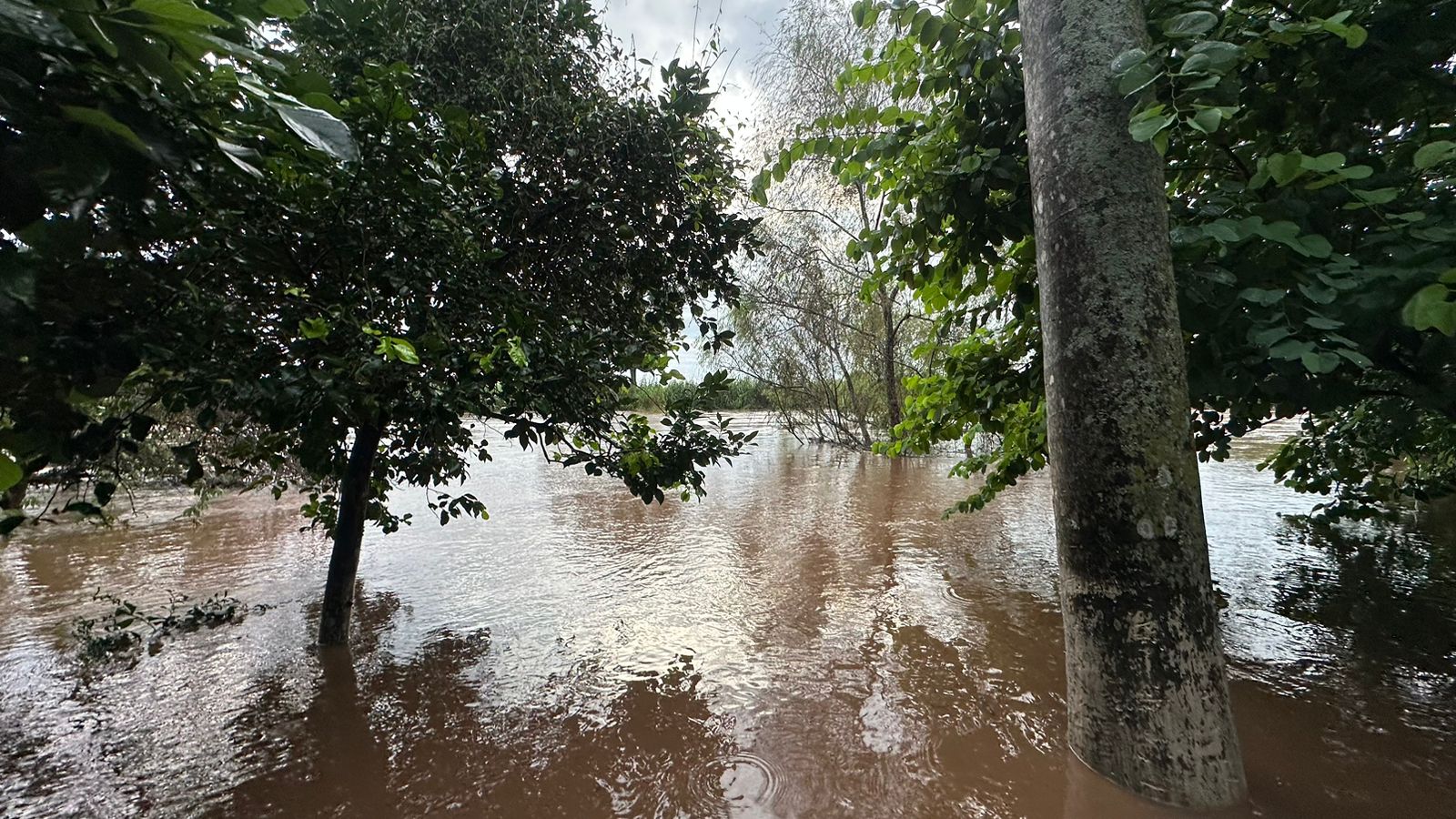 Pasa factura Frente Frío 4 a Veracruz, estas fueron las afectaciones