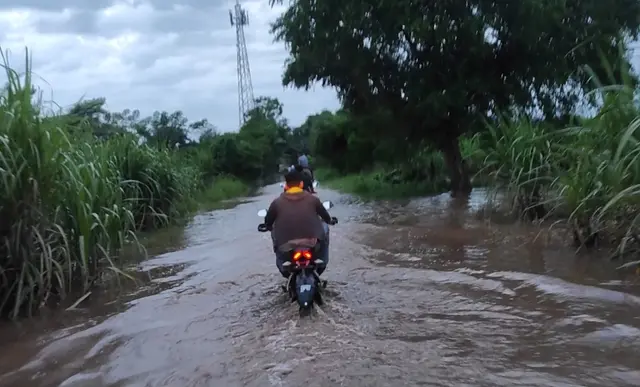 Inundaciones dañaron más de 50 mil hectáreas de caña en Veracruz