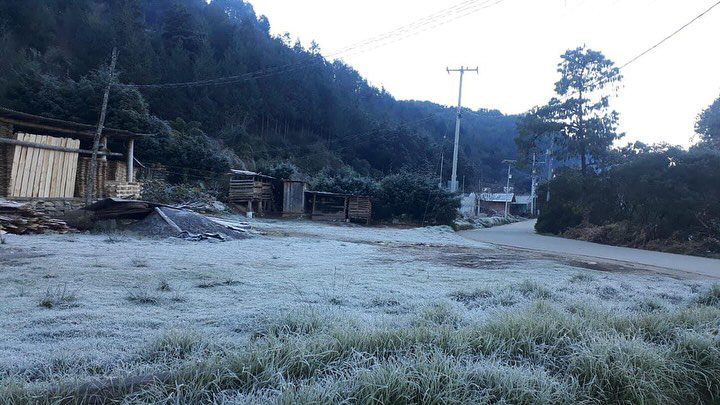 Continúan heladas en el estado; se registran temperaturas de hasta menos 6 grados