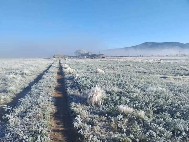 Saldo blanco por bajas temperaturas en Veracruz: SPC