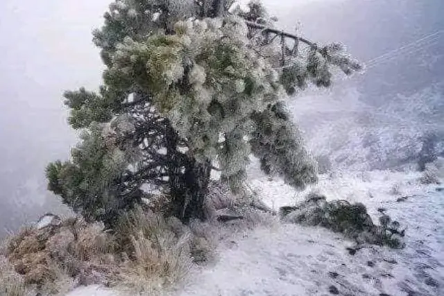 PC alerta por falsas imágenes sobre nevadas en Veracruz