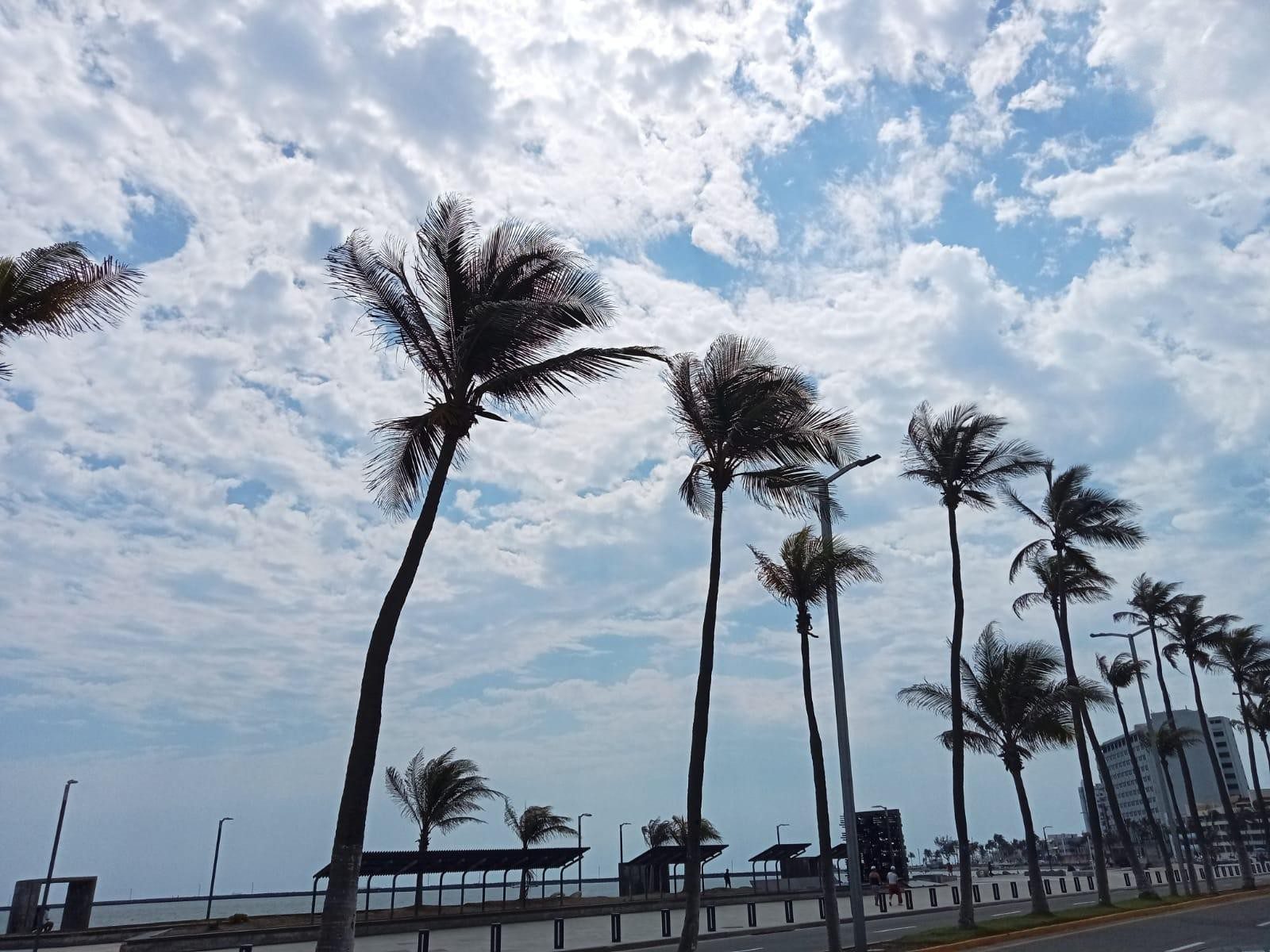 Se recupera temperatura en el estado de Veracruz; miércoles llegaría otro frente frío: SPC