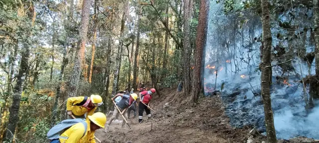 Incendios forestales dañaron más de 15 mil hectáreas en Veracruz