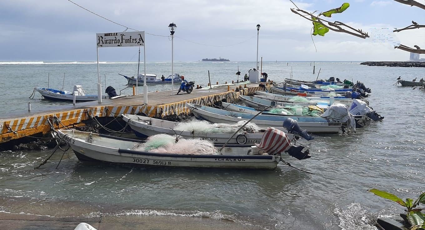 Cerca de 15 días suspenderán actividades los pescadores de Veracruz por el temporal