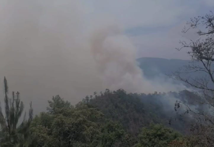 Los incendios son prevenibles, la mayoría son causados por actividades humanas: SPC