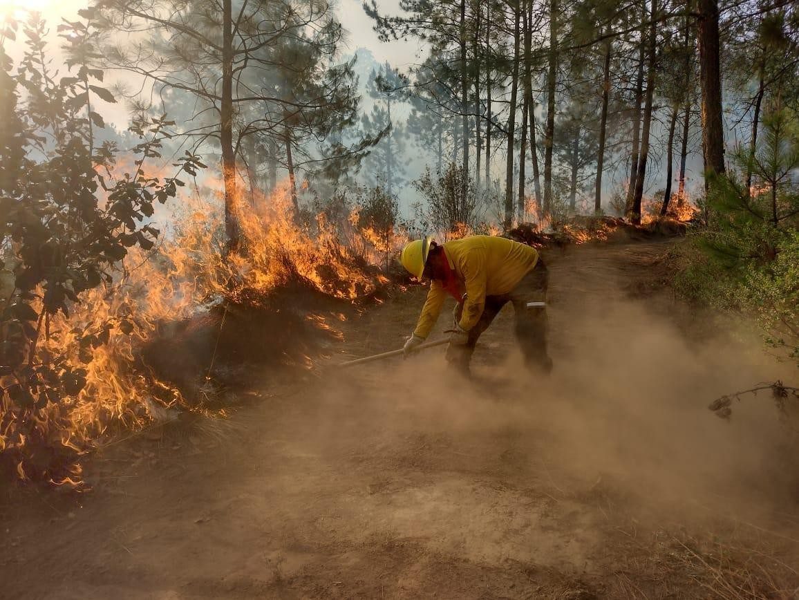 Inicia temporada de incendios forestales; autoridades de Veracruz preparan acciones