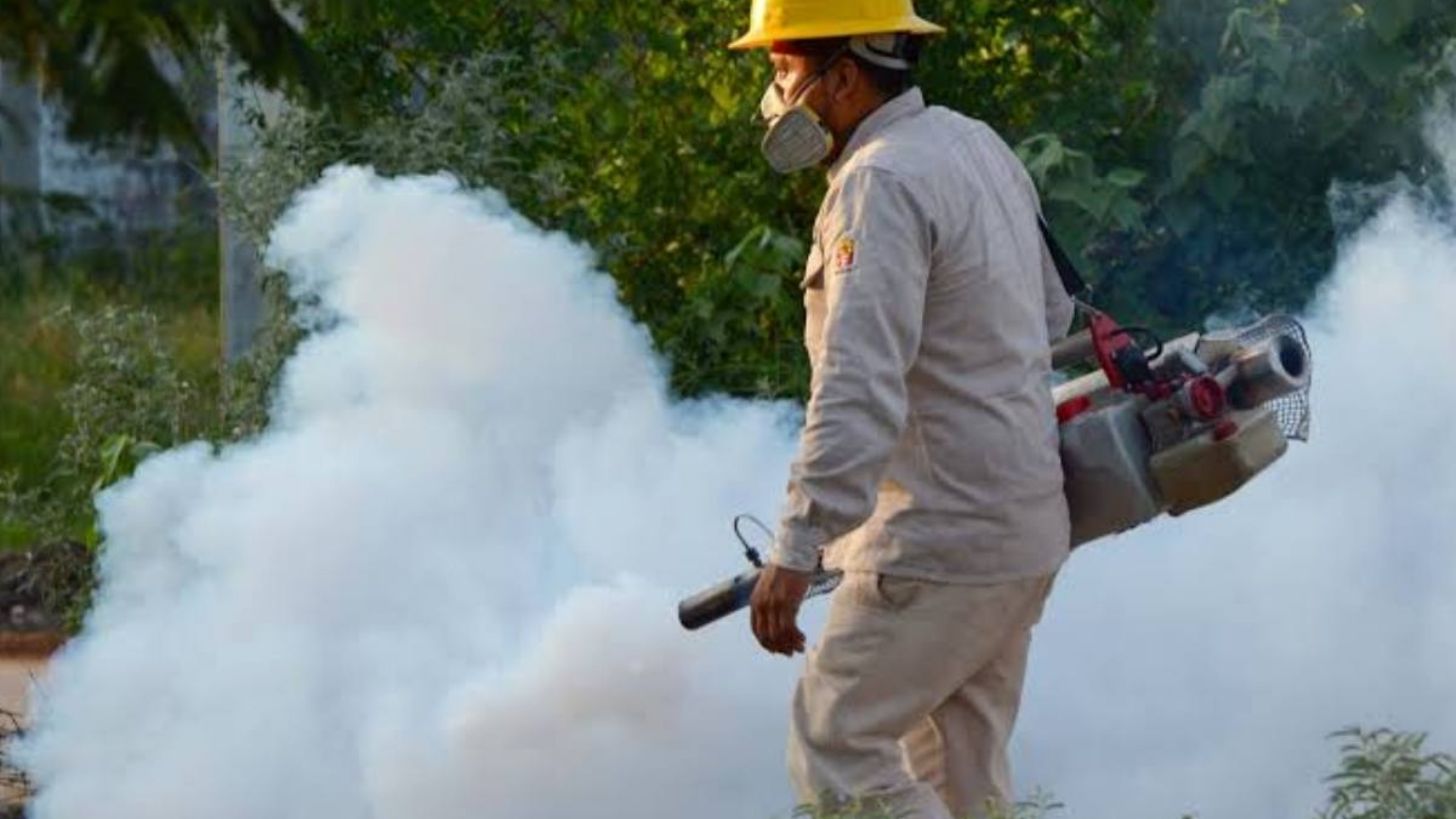 Plan Anual contra el Dengue; así serán las medidas para prevenir la enfermedad en México