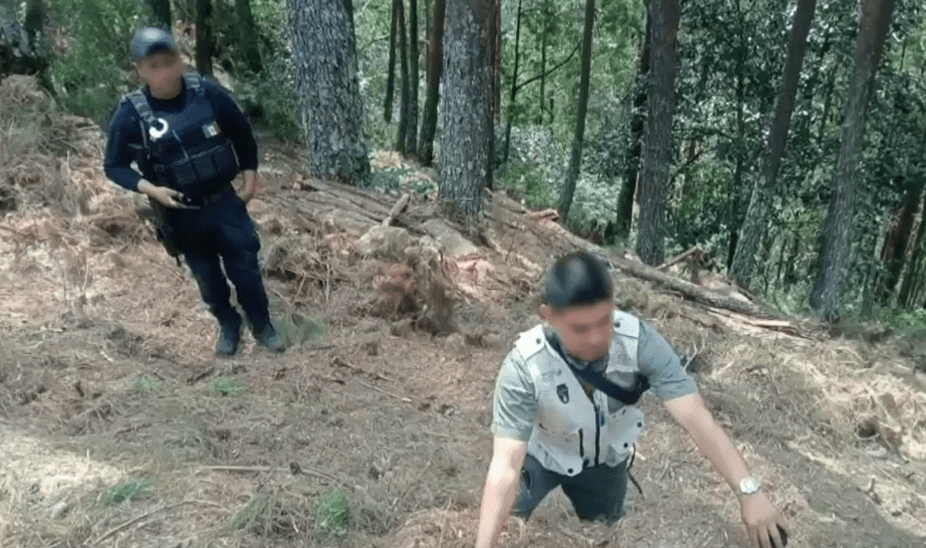 Detienen a dos presuntos talamontes en el Cofre de Perote